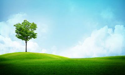 2022年12月26日诞生金色属虎的小宝宝，如何选择一款寓意吉祥的命名？