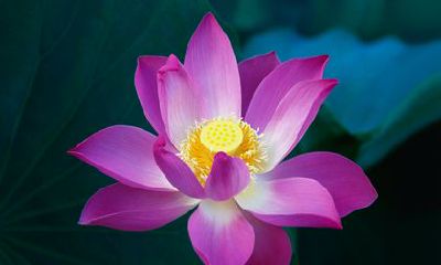 2022年双鱼座女性的不可避免的情感险境：星座上预言，可能是热情奔放的射手座带来的情感劫