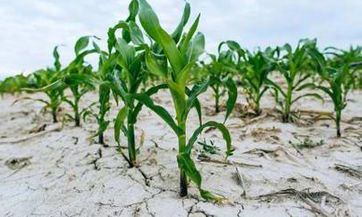 给孩子发压岁钱，应该选择多少金额是最合适的？400元和500元之间的压岁钱赠送，哪个更为恰当？