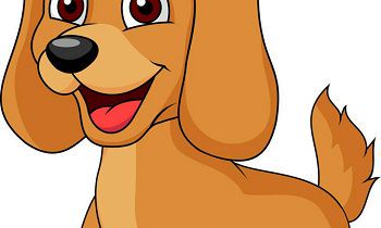 2018年11月出生的幼犬的命运如何？会好还是会坏？