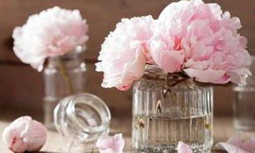 2023年2月5日，这个日期有什么特别的意义或重要性，你知道吗？