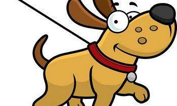 2018年10月出生的狗宝宝的命运如何？是否具备良好的运势？