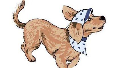 在2018年，对于狗宝宝而言，哪一个出生时间最优呢？