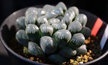 如何运用风水学原理来选择适合作为主卧的房间？