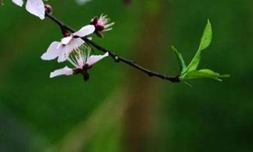 在本命年使用的红绳子是否可以在过完之后剪掉呢？在本命年使用太长的红绳子，是否可以对其进行剪裁呢？