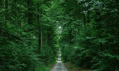 2021年国庆节宝宝出生，五行缺木，需给属木的男婴取名字，应遵循正确用字原则