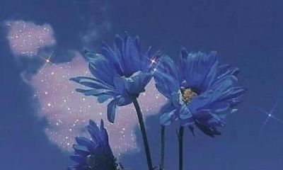 水瓶座：一个难以理解且极不愿被他人看透的星座