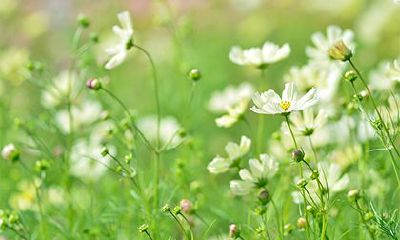 2023年农历三月初四是否适宜开业？如何选择店铺方位避开风水禁忌？