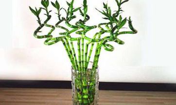 在2023年6月1日的黄历上，这一天是否被称为黄道吉日呢？