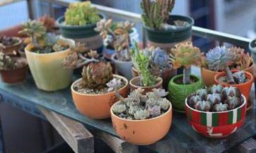 杨公十三忌日表：在杨公十三忌时期，诸事不宜，应当注意避免犯忌日规定的行为和活动