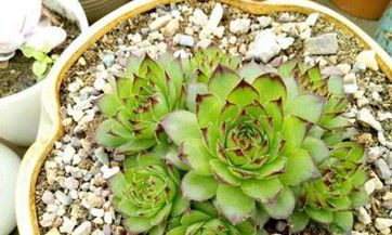 过农历新年之前的几天有哪些传统习俗？过新年后的几天又有哪些传统风俗？