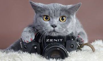 一份详细的搬家准备清单，以及解析搬家冲猪丁亥煞东的含义