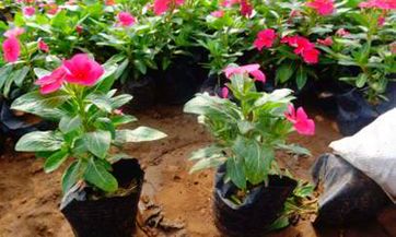 在2023年3月16日进行搬迁是否是一个贵人日呢？