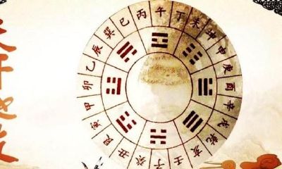 如何通过四柱预测中的天干地支和十二地支，解读其对承重荫护的影响以及与五气和四季旺衰的关联？