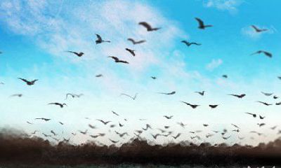 这些生肖的独特魅力不容小觑，无论走到哪里都是不可忽略的焦点！