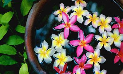 2022年，白羊座的以下四个星座将成为你的贵人：水瓶座、双子座和天蝎座