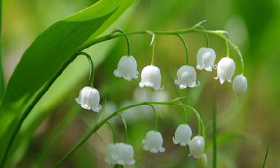 白羊座2022年前任的回头情形：缘分重聚的苗头有了迹象