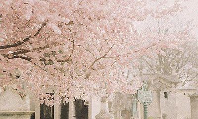 根据命理学理论猜测：在属羊的宝宝中，哪些时辰出生的命运最为吉祥？