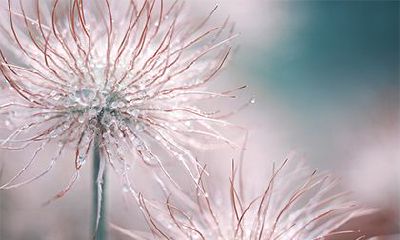 经推算，2023年农历正月十九日黄历适宜开工装修，即为吉日，您是否考虑在此时动土呢？