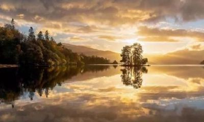 当身弱伤官成为忌，对未来事业财运的影响究竟如何？