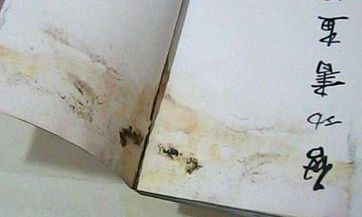 在初八这一天，你是否能够顺利搬家呢？如果要搬家，又该如何安排进门的先后顺序呢？