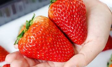 在家诵经念咒需要谨慎，特别是往生咒，需注意什么？