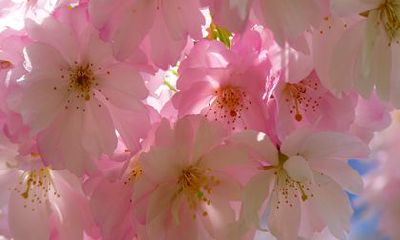 2022年星座详细解析：摩羯座与水瓶座的吉凶祸福运势全面掌握！