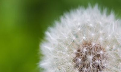 2022年将带来惊人好运的星座！白羊座将是这股泰来之势中的佼佼者！