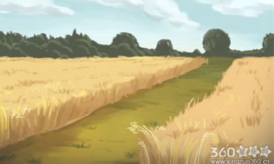 属相特征详解: 对人际交往不熟练、缺乏相处技巧的落落寡合生肖