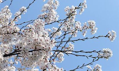 2022年腊月十九出生的女宝宝，凭星座预测，命运何等？她的性格如何，善良而稳重？