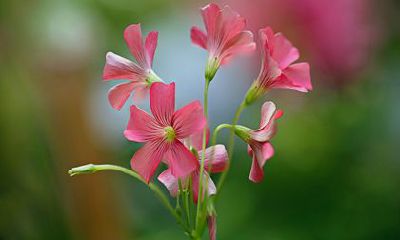 2022年下半年金牛座的工作压力十分巨大，让人感到异常可怕！