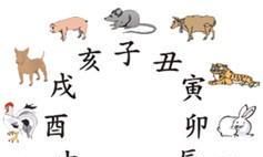 探索十二地支中隐藏着哪些神秘物种？