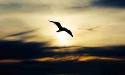 探索2023年农历正月十三出生人生命命运及其生辰八字信息！