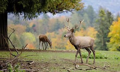 2023年农历正月十三的黄道吉日及当日卦象如何？