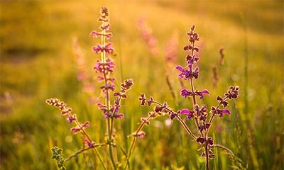 2022年虎年腊月二十日是否适宜结婚？当日黄历宜领证吗？