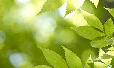 2022年腊月二十日产生的生肖是什么？这一天出生的命运如何？