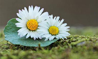 2023年农历正月十四日黄历推荐出门旅行，宜于远足探险，还需要考虑哪些因素？