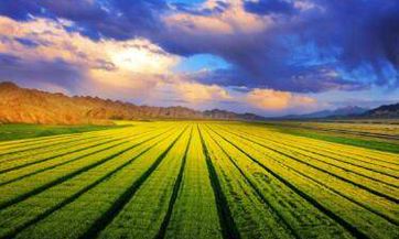 三个字寓意好的公司名称推荐，为您推荐三个字吉利的公司取名方案