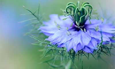 2023年农历正月十五元宵节是否适合规划旅行和外出活动？