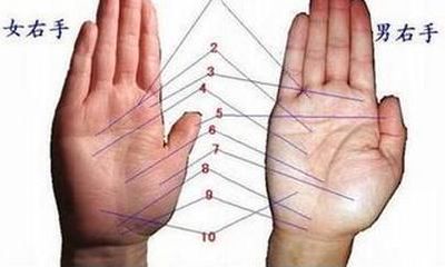 一步步细致教授，助你成为手相领域的大师：掌握手相的方法与技巧！