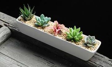 如何安排结婚典礼的红地毯铺设：起点应该放在哪里比较合适？