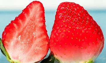 2023年4月4日的寒食节适合定婚吗？订婚是否是个好主意呢？
