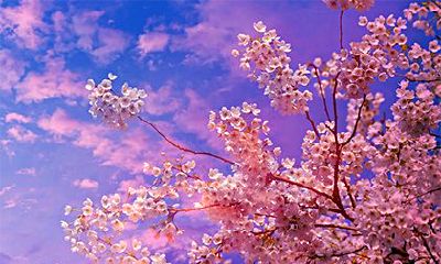 2023年农历正月二十六是否适合进行长途旅行和外出活动？