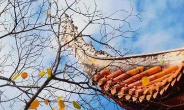 年初七被尊为何日，什么是年初七的传统习俗和文化底蕴？