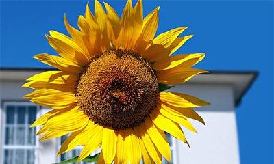 2023年农历正月二十八日出门是否吉利？这天是适宜出行的黄道吉日吗？