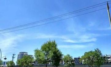 探寻适合86年属虎者挂在玄关的画，多种选择让你的宅运旺盛、财源滚滚！