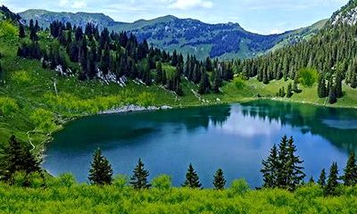 2023年农历二月初四是否适宜进行祈福仪式，以充实幸福生活？确定此日为祈福吉日吗？