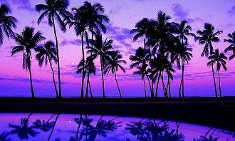 属马女与属马男：考虑星座匹配性的婚姻决策