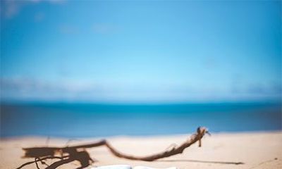 红色钱包的招财效应：是带来好运还是招来灾厄？除此之外，哪些人不应选用红色钱包？