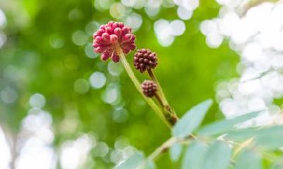 2023年立春日，是否适宜举家搬迁？或许有两个立春日是最佳时机